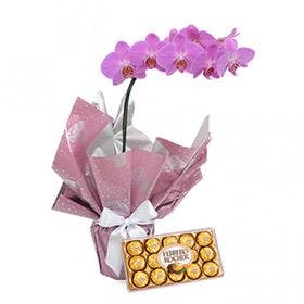 Orquídea Lilas e chocolate 